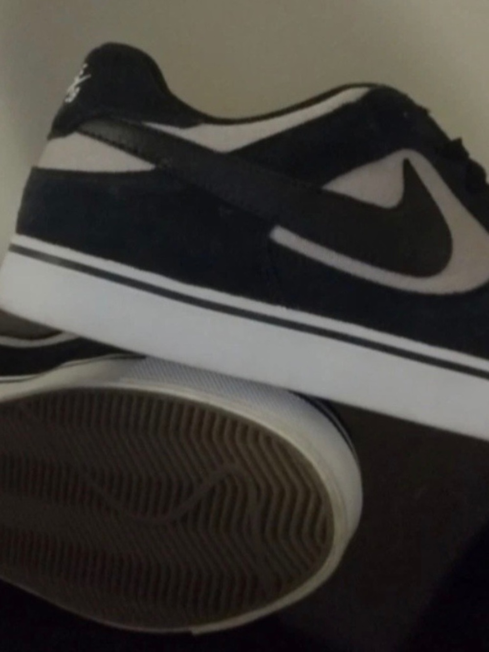 Nike SB Paul Rodriguez edition